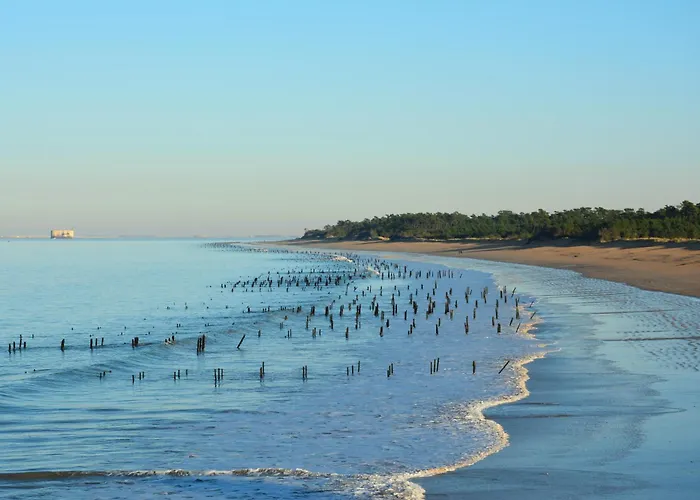 Campsite Mobil Xxl 4 - Le Domaine D'oleron Foulerot